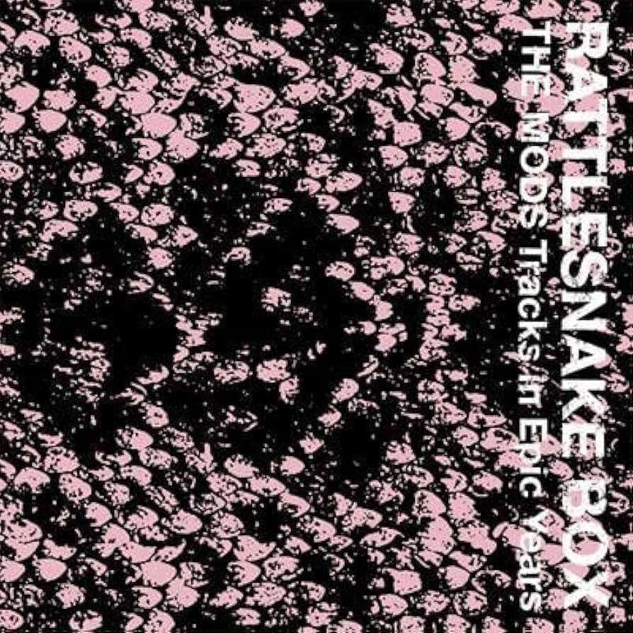 Amazon.co.jp: 消費税不要 The Mods モッズ - Rattlesnake Box